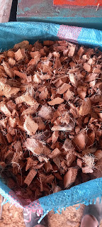 Vỏ dừa cắt chip